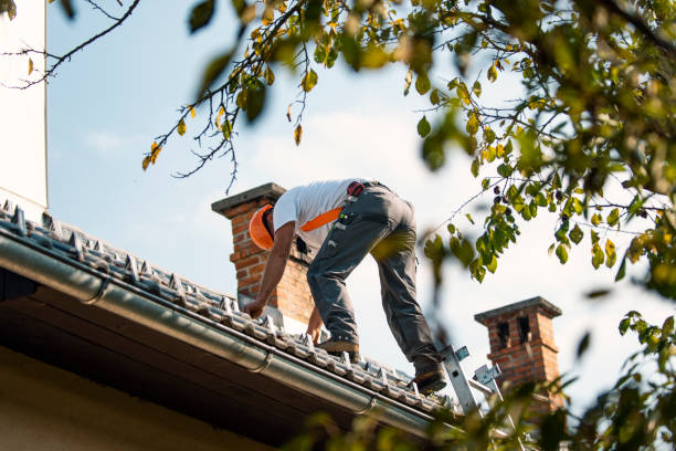 Best Roof Repair Services  in Aurora, MN